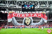 Spartak-horse (30)